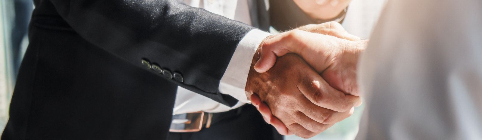 Two businesspeople shaking hands